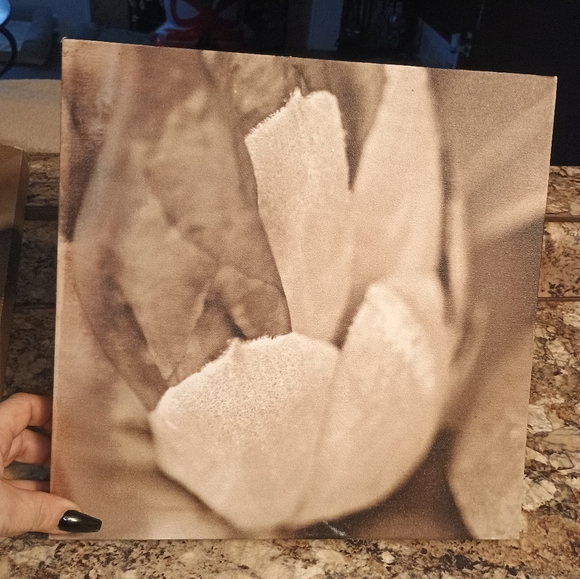 Floral Canvas Art Set in Brown and Cream - Picture 5 of 5